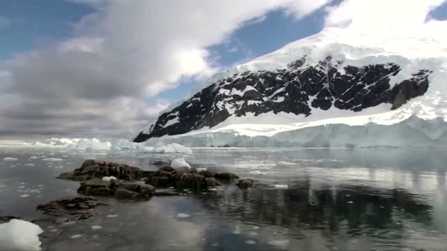 How krill fishery threatens Antarctic wildlife