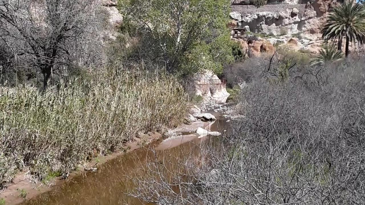 Boyce Thompson Arboretum and the Queen Creek bridge and clear water.