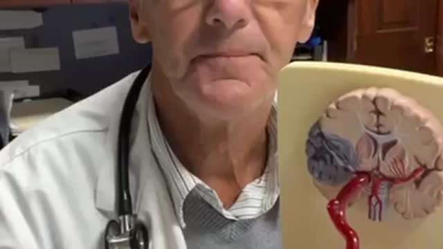 How the heart works