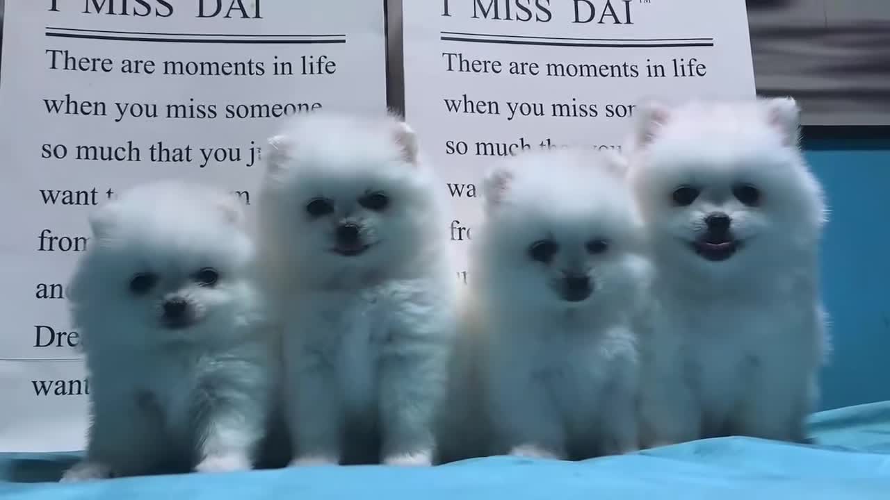 we'll be together forever