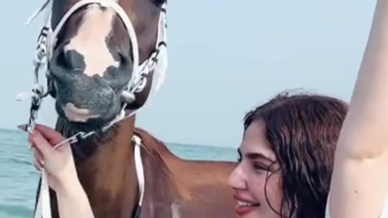 #horse#viral #videos