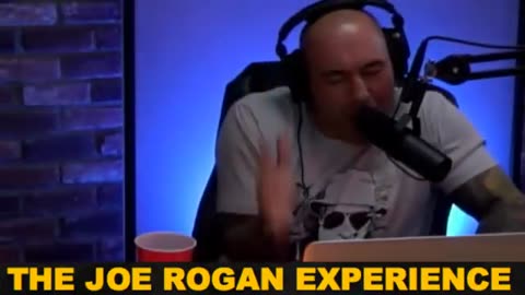 Joe Rogan Experience #375 - Shane Smith.MP4