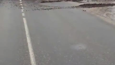 Russia is pulling troops to the border with Ukraine!!!