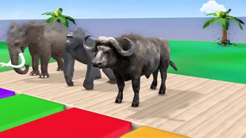 Choose Right Drink with Eleph Tiger Dinosaur buffalo Wild Animals Games_Cut