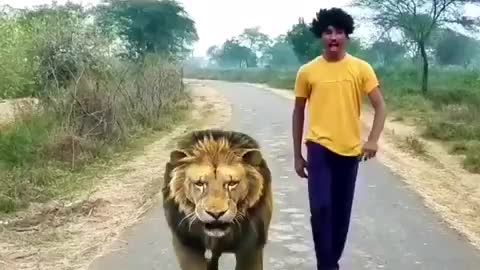 Amazing animals