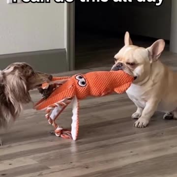 I can do this all day