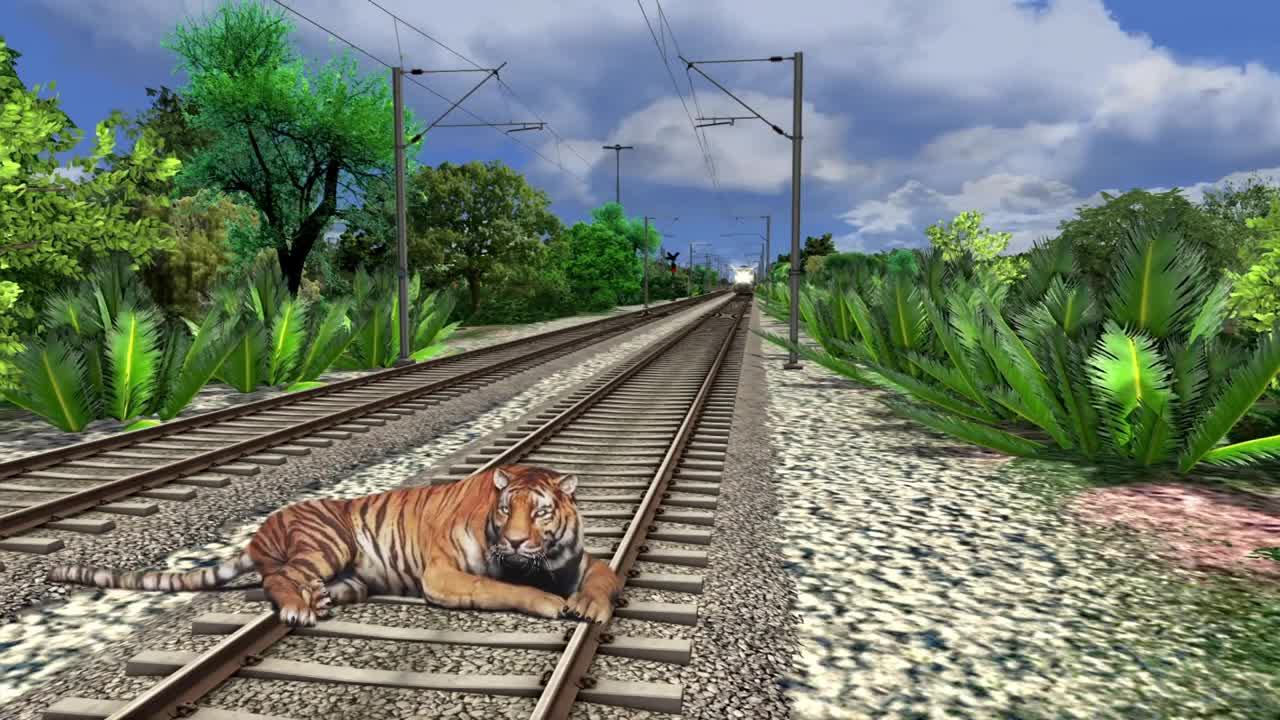 Lazy Tiger sit on Track & Monkey vs Train _ Stops The Train _ Train Simulator