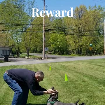 River 5 PoP At Ease Cue