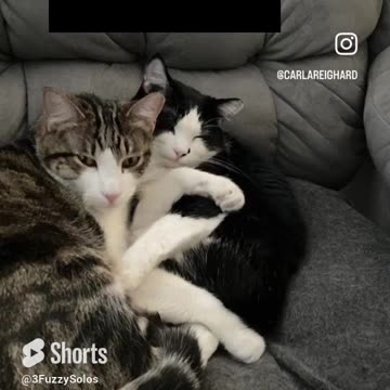 Don't stand so close to me