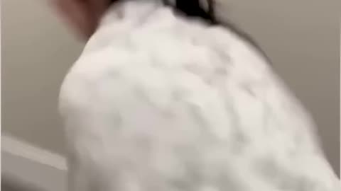 Amusing Creature Recordings Of The Day 0038! #fyp #memes #memedaily #dankmemes