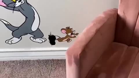 Dad fixes hole in kids bedroom! 🕳️🐁