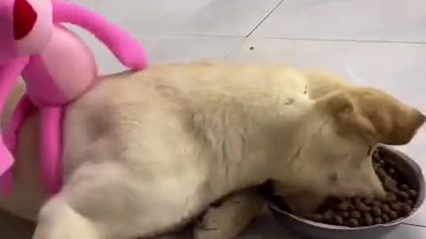 So cute.