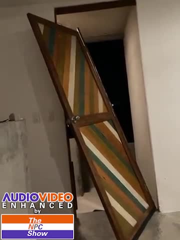 Rose McGowan's Home Broken Into 🟠⚪🟣The NPC Show