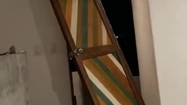 Rose McGowan's Home Broken Into 🟠⚪🟣The NPC Show
