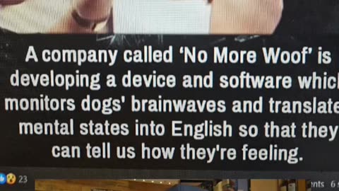 Tech so Dogs can speak English?