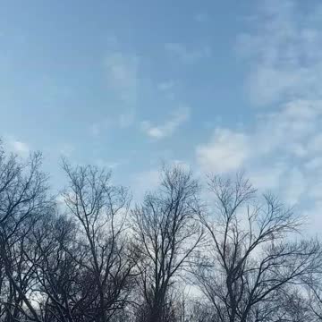 Psalm 43 (Revised Standard )O send out thy light of truth