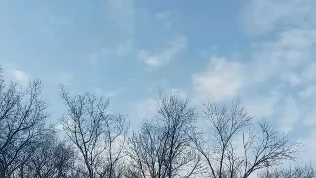 Psalm 43 (Revised Standard )O send out thy light of truth