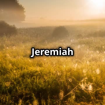 These Quotes Will Uplift You 😇🙏