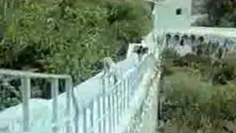 Ja Pripadam Samo Tebi - Lepa Brena