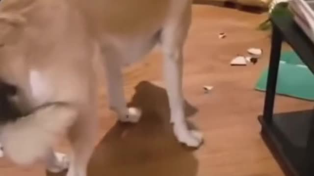 Was it his fault