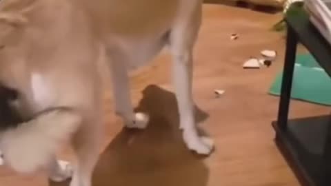 Was it his fault