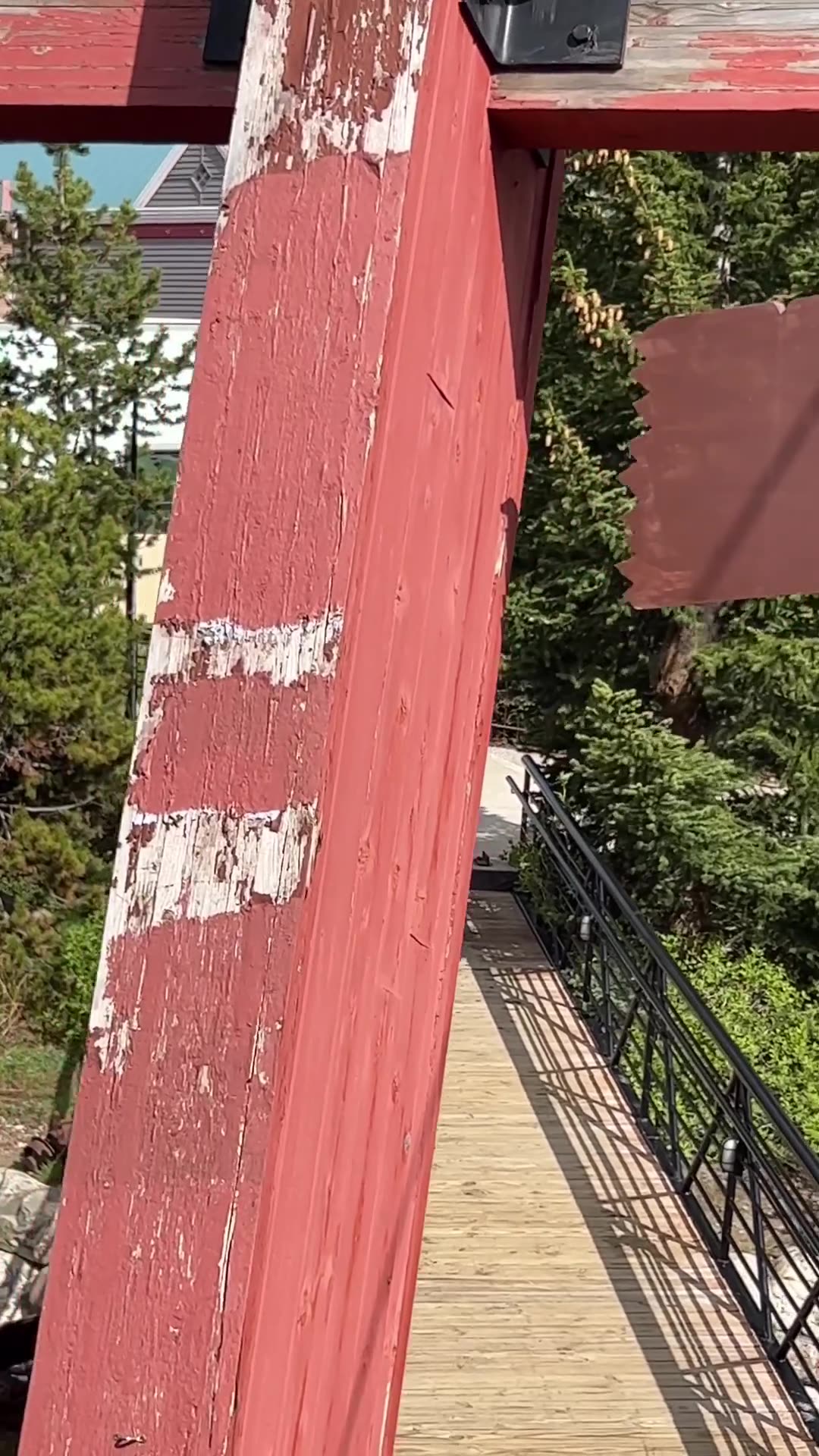 Bear Visitor At Breckenridge Restaurant