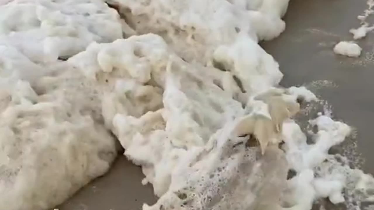 Filmed Tash the Corgi in front of a wave of sea foam, which suddenly swamped her.