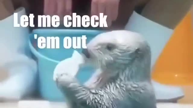 My first voice over I ever made