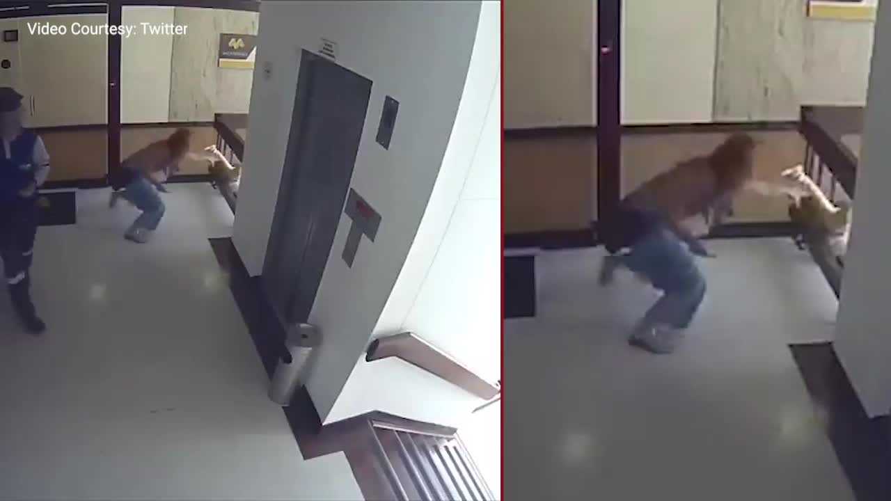 OMG Mom saves toddler from falling off building stairwell