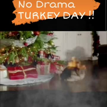 Happy NO Drama Thanksgiving