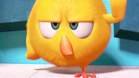 #SHORTS CHICKY
