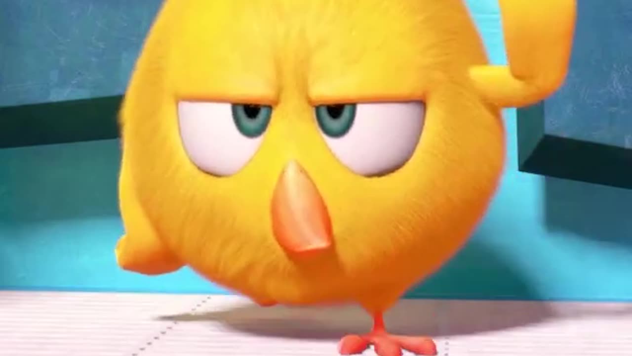 #SHORTS CHICKY