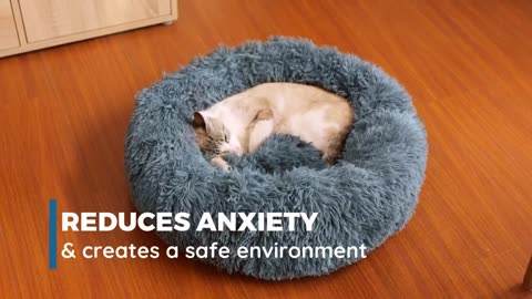 Cat Bed, Cat Beds for Indoor Cats Washable, for Small Cat Bed