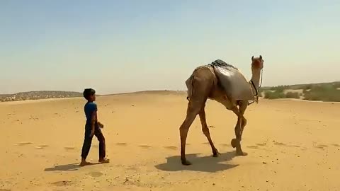 Sahra desert life style