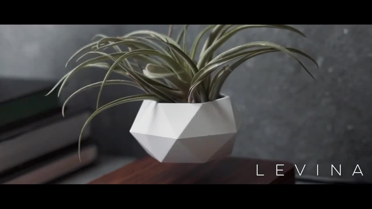 Levitating Plant Pot