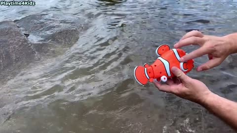 Sea animal toys this summer at the shore