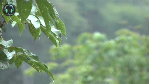 Relaxing reading Quran to the sound of rain - Surah 55 Ar-Rahman - Omar Hisham
