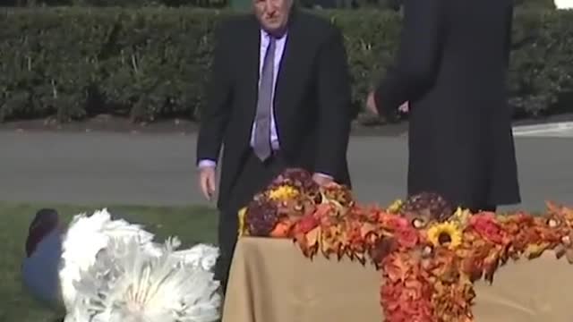 President Biden pardonsThanksgiving turkeys