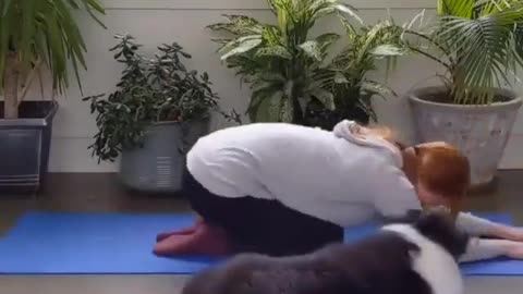 Doggy Yoga