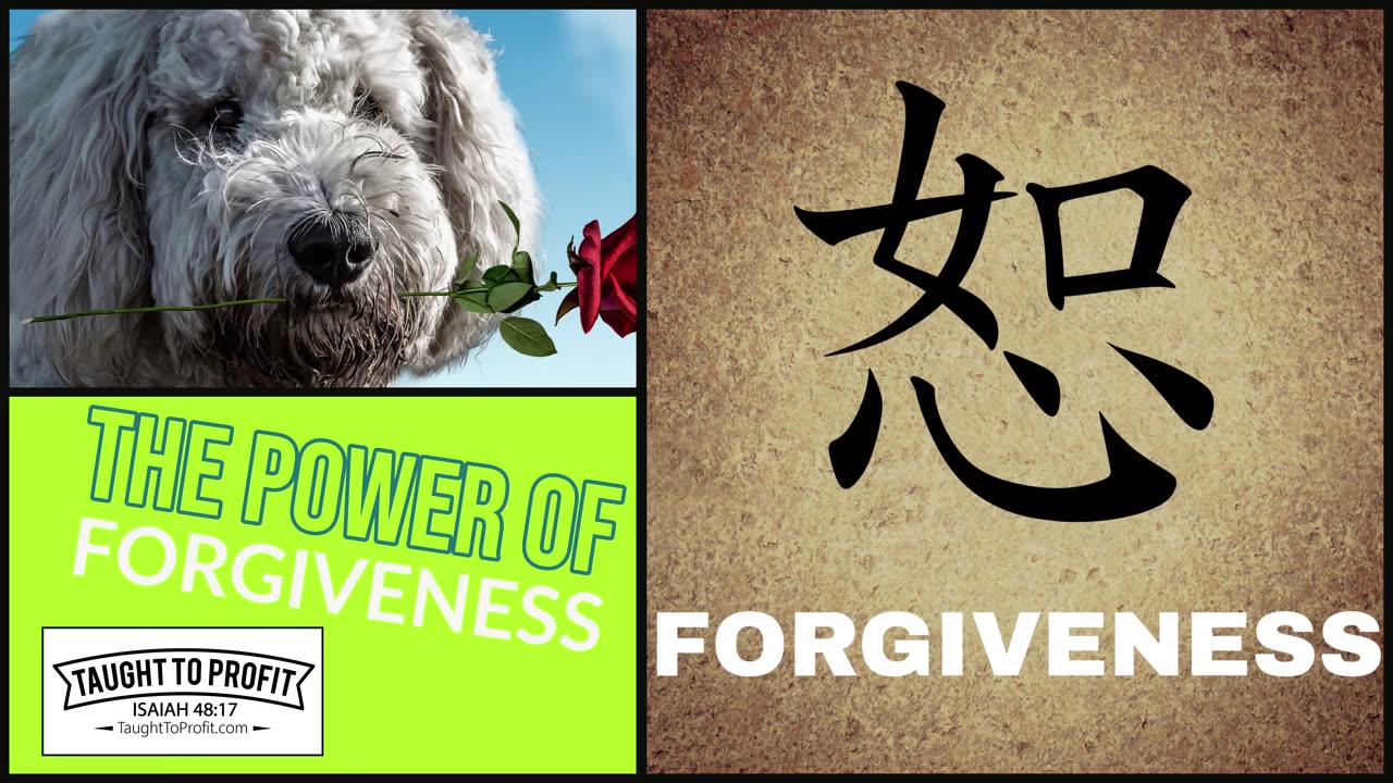 The Power Of Forgiveness To Change Your Life!