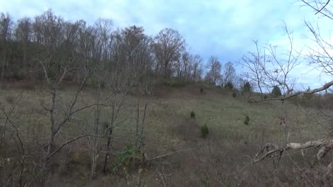 1st deer on a Guided Hunt