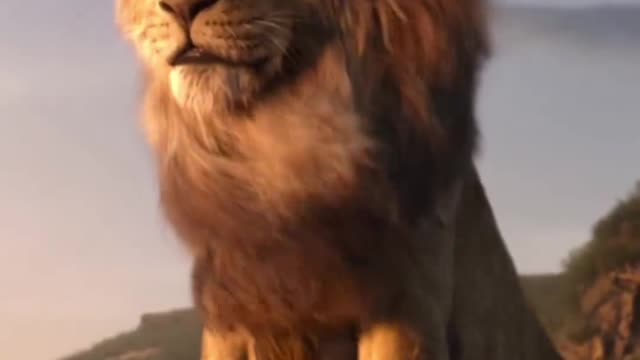 When Frost Wolf, Simba and Mountain King meet, who do you think is the king