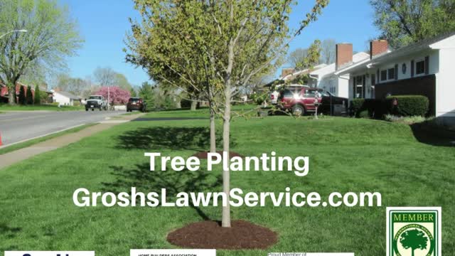 Tree Planting Williamsport Maryland Landscape Company