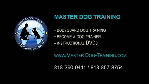 K9 Police Tactics Dog Training -