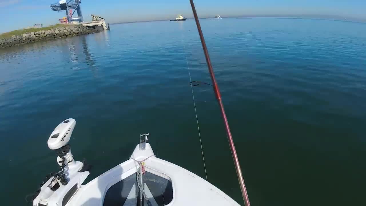 White Gets the Bite (Bream Fishing)