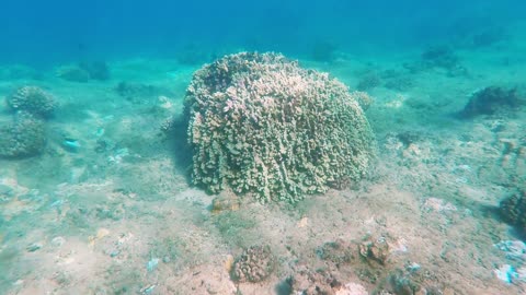 Snorkeling Tunnels Beach on Kauai Island, Hawaii