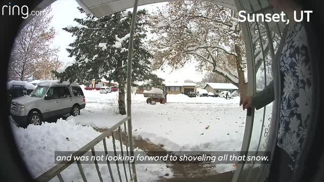 Little girl crosses paths with a bobcat & dad forgets dog outside | Neighborhood stories