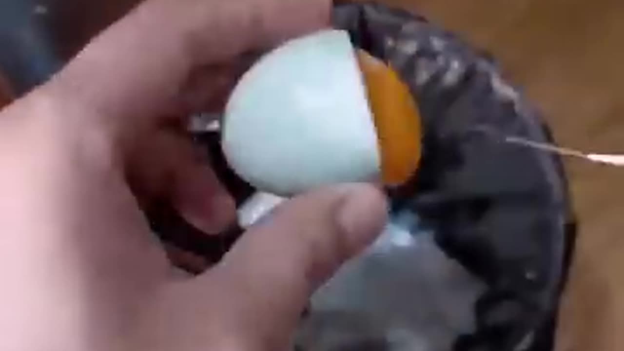 How A Chick Born From A Egg Interesting Video 😱