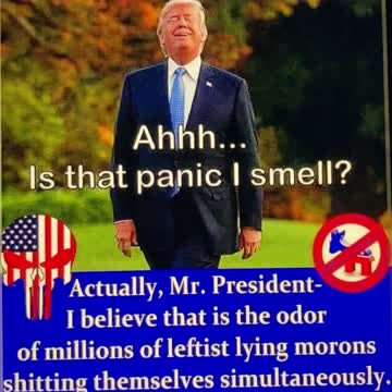 PANICK IN WASHINGTON🏛️💫