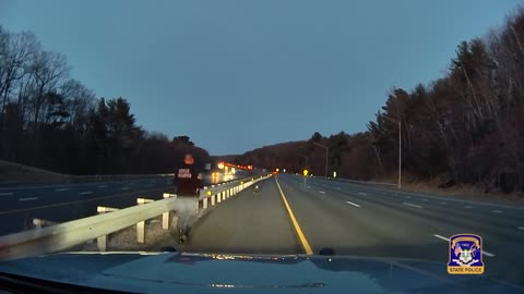 ROAD KILL: Injured Bald Eagle Euthanised Because Of Broken Leg After Cops Rescue It From Motorway